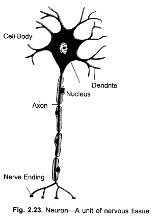 study rankers class 9 science chapter-6-9